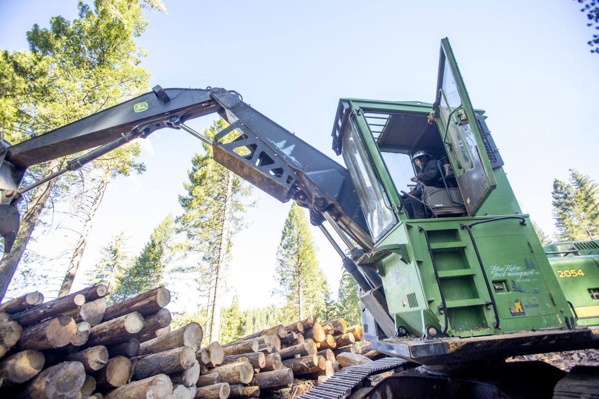 Careers – California Resilient Careers in Forestry